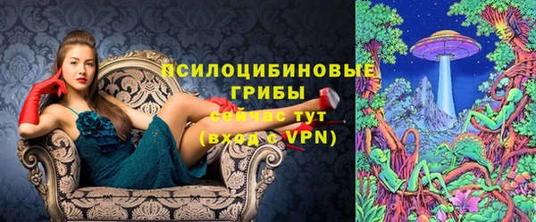 ECSTASY Алексеевка