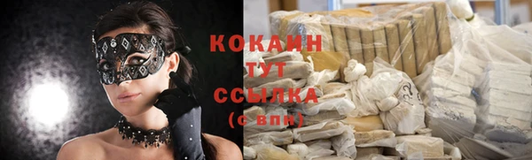 spice Новодвинск